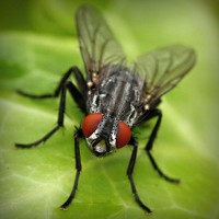 /album/dercurire/photolia-a01-jpg/