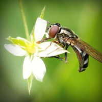 /album/dercurire/photolia-a02-jpg/