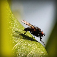 /album/dercurire/photolia-a04-jpg/