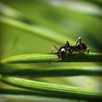 /album/dercurire/photolia-a05-jpg/