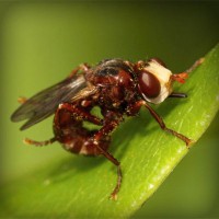 /album/dercurire/photolia-a06-jpg/