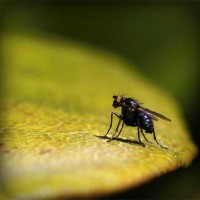 /album/dercurire/photolia-a07-jpg/